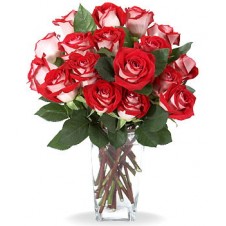 2 Dozen Red Roses in a Vase